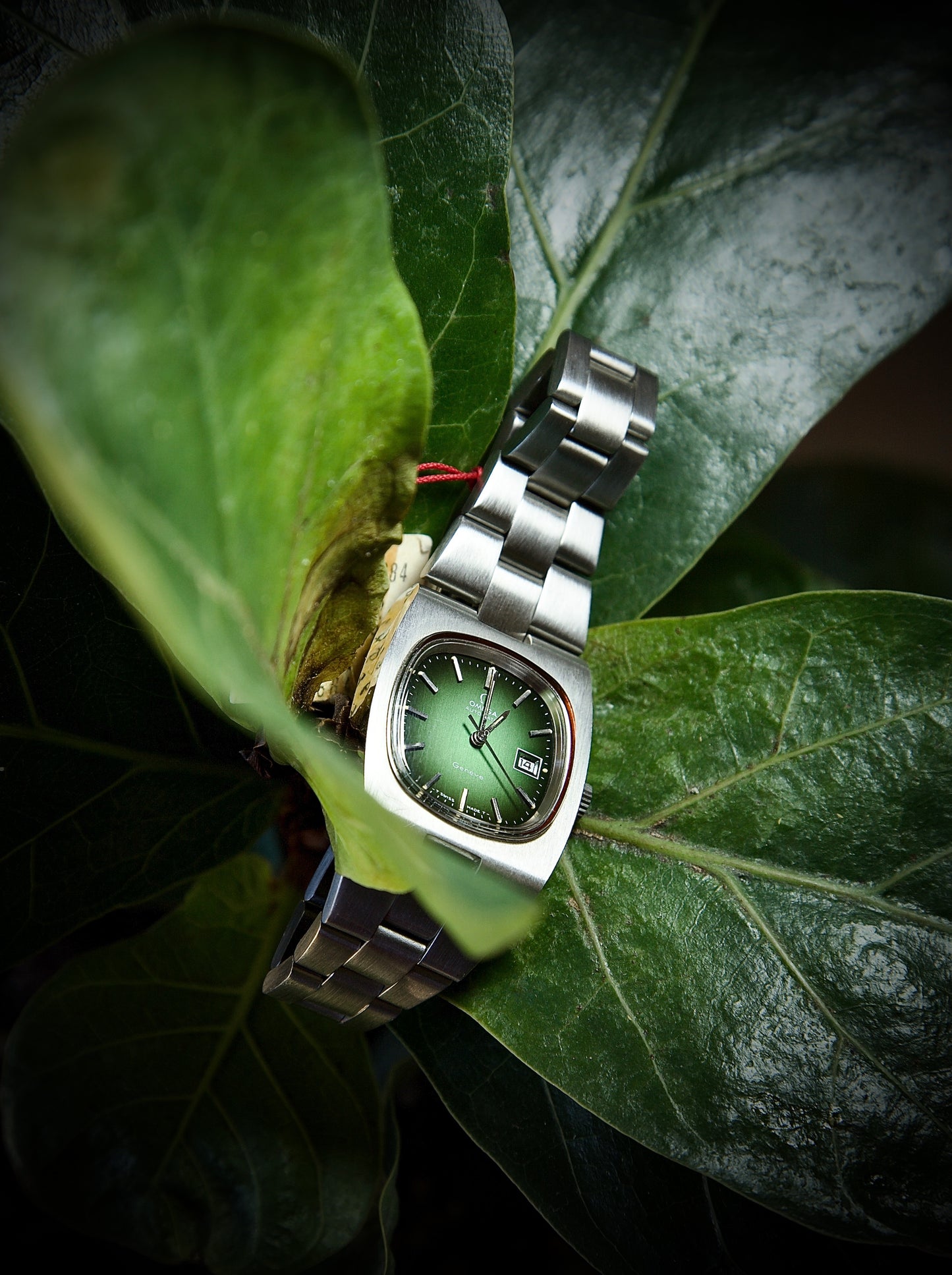 Omega Genève Mujer Automático 1974 – Ref. ST 766. 0012 – Esfera Verde Sunburst NOS