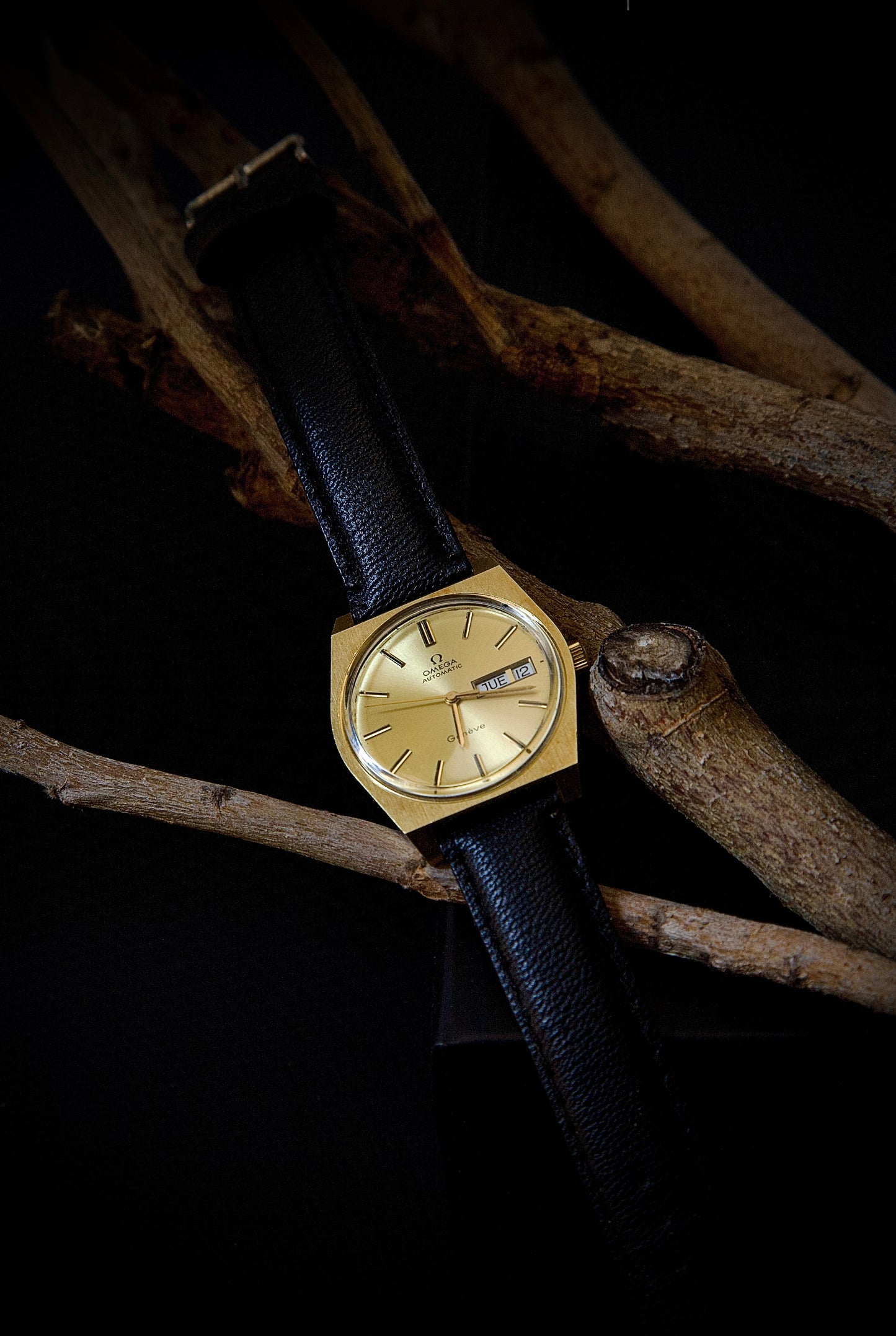 Omega Genève Automatic Ref. 166. 0120 | 1972