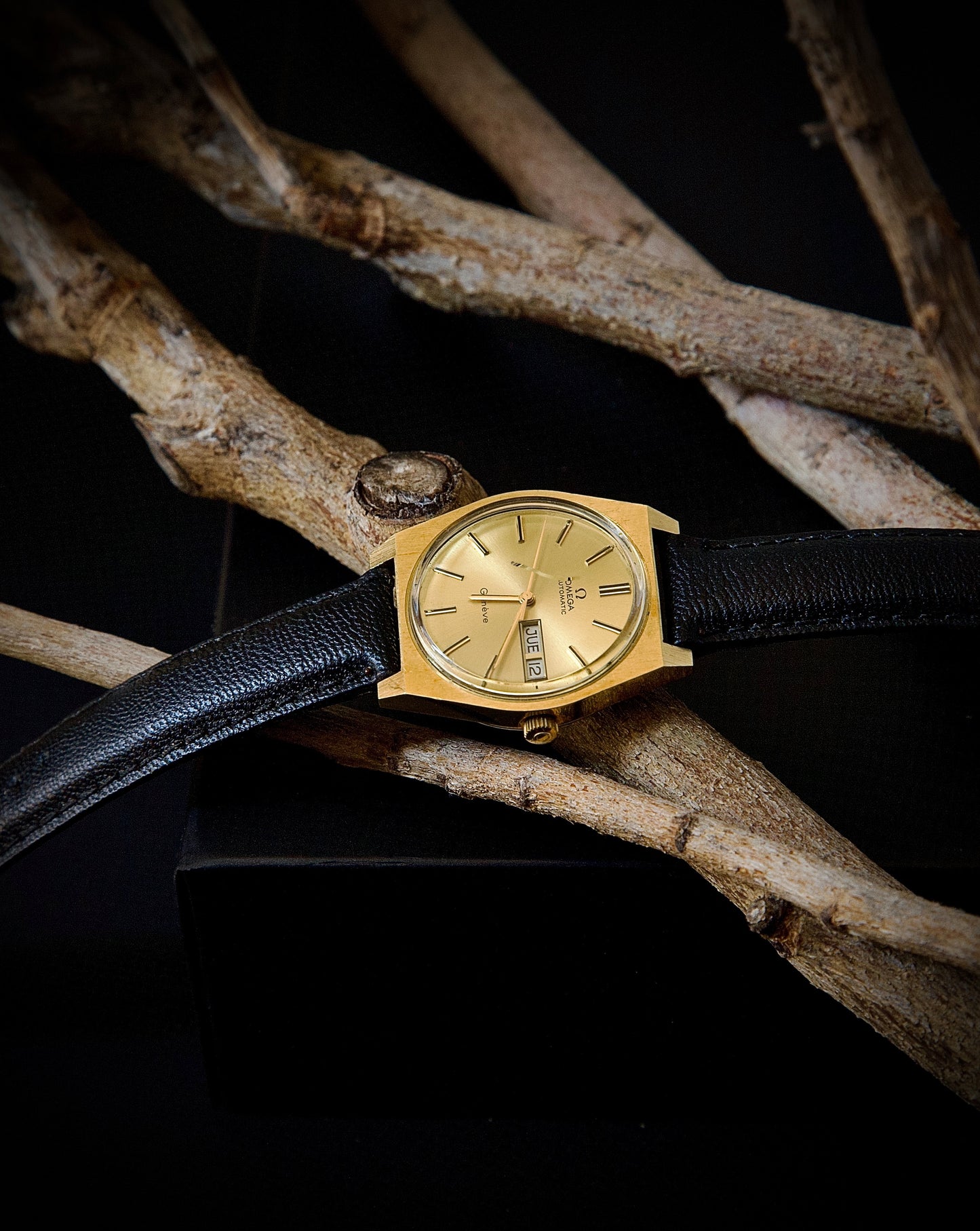 Omega Genève Automatic Ref. 166. 0120 | 1972