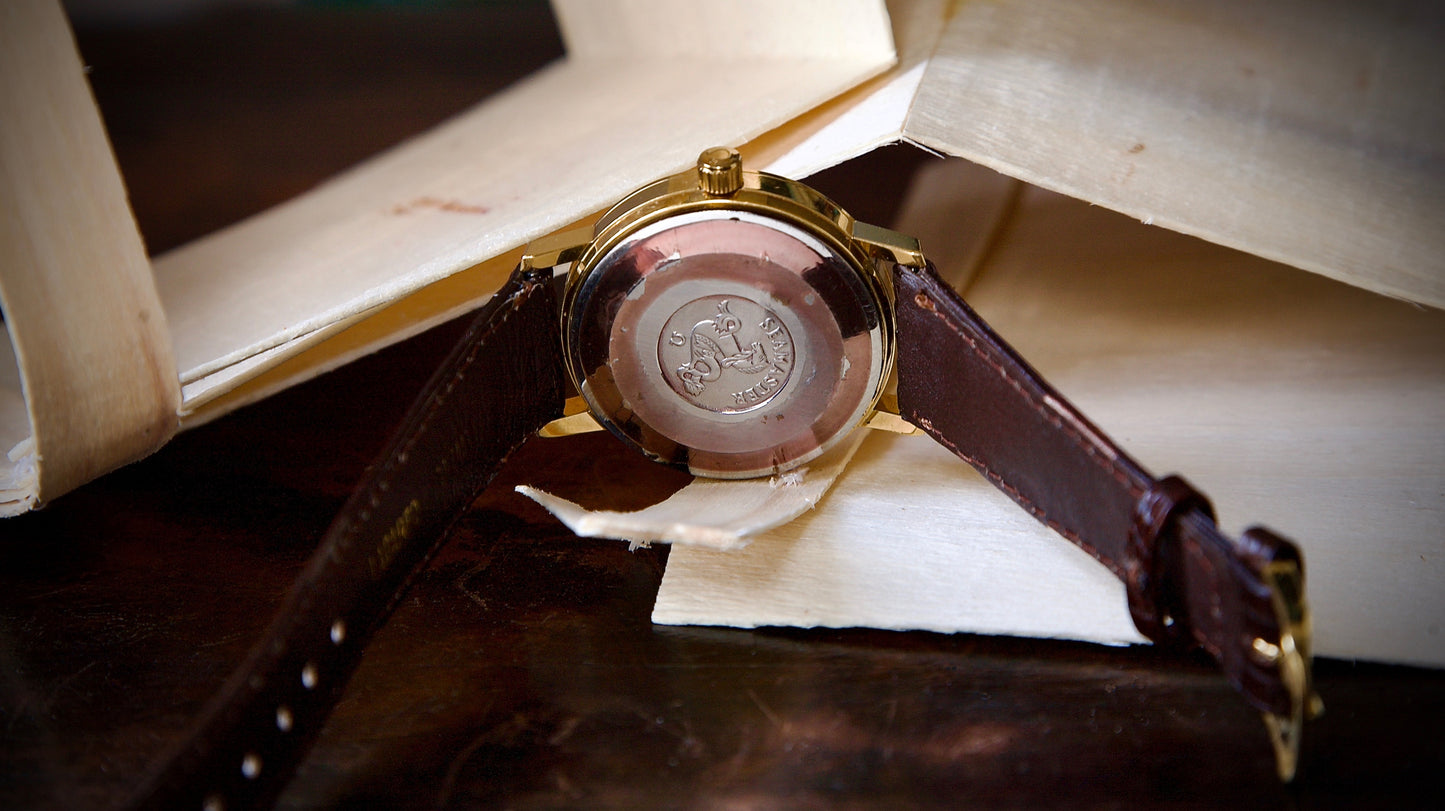 Omega Seamaster Automatic Ref. 166. 0202 (1974) – Champagne Dial