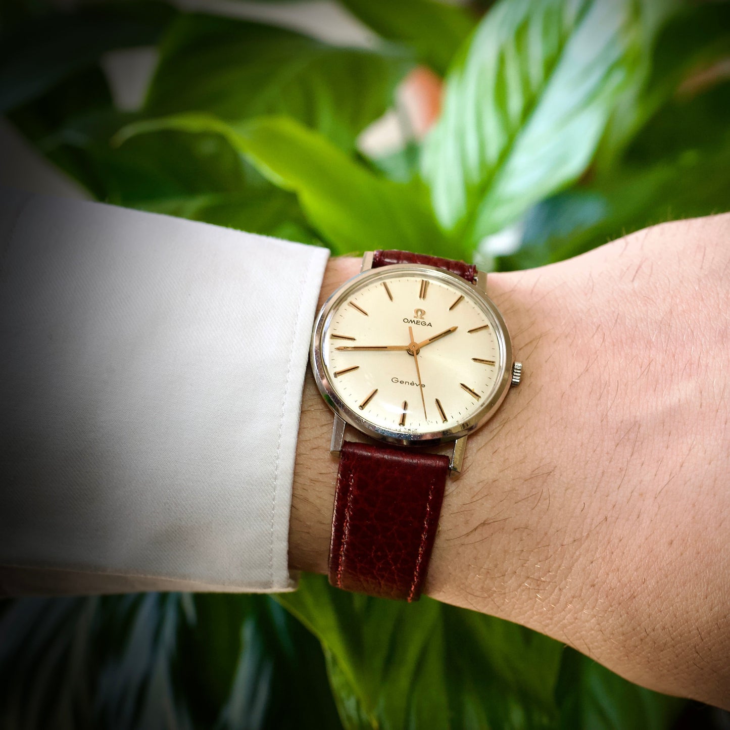 Omega Genève Vintage de 1969 Cuerda Manual – Calibre 601