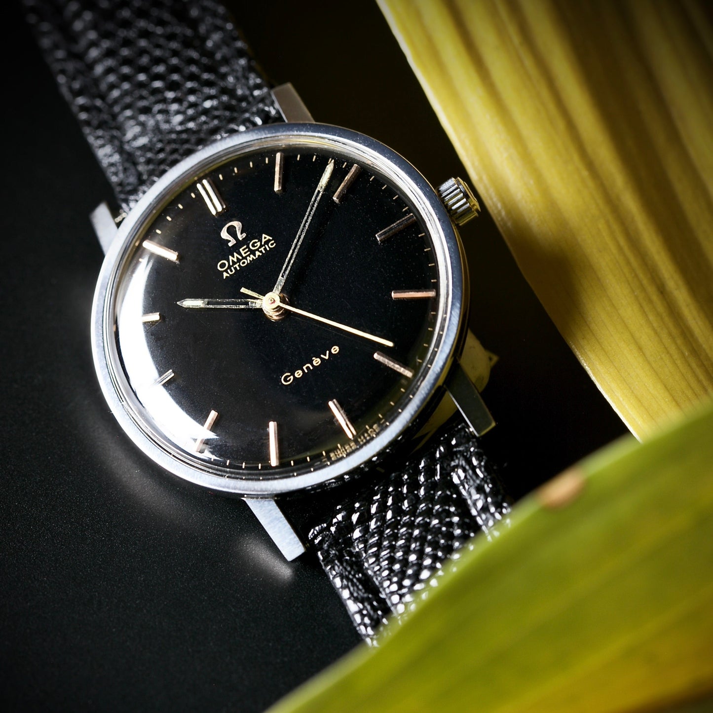 Omega Genève Automático Ref. 161.009- Esfera Negra Restaurada