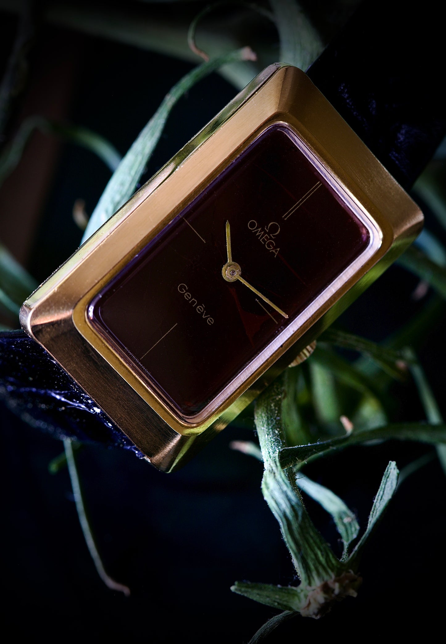 Omega Genève Ref. 511. 0477 Spider Dial from 1974
