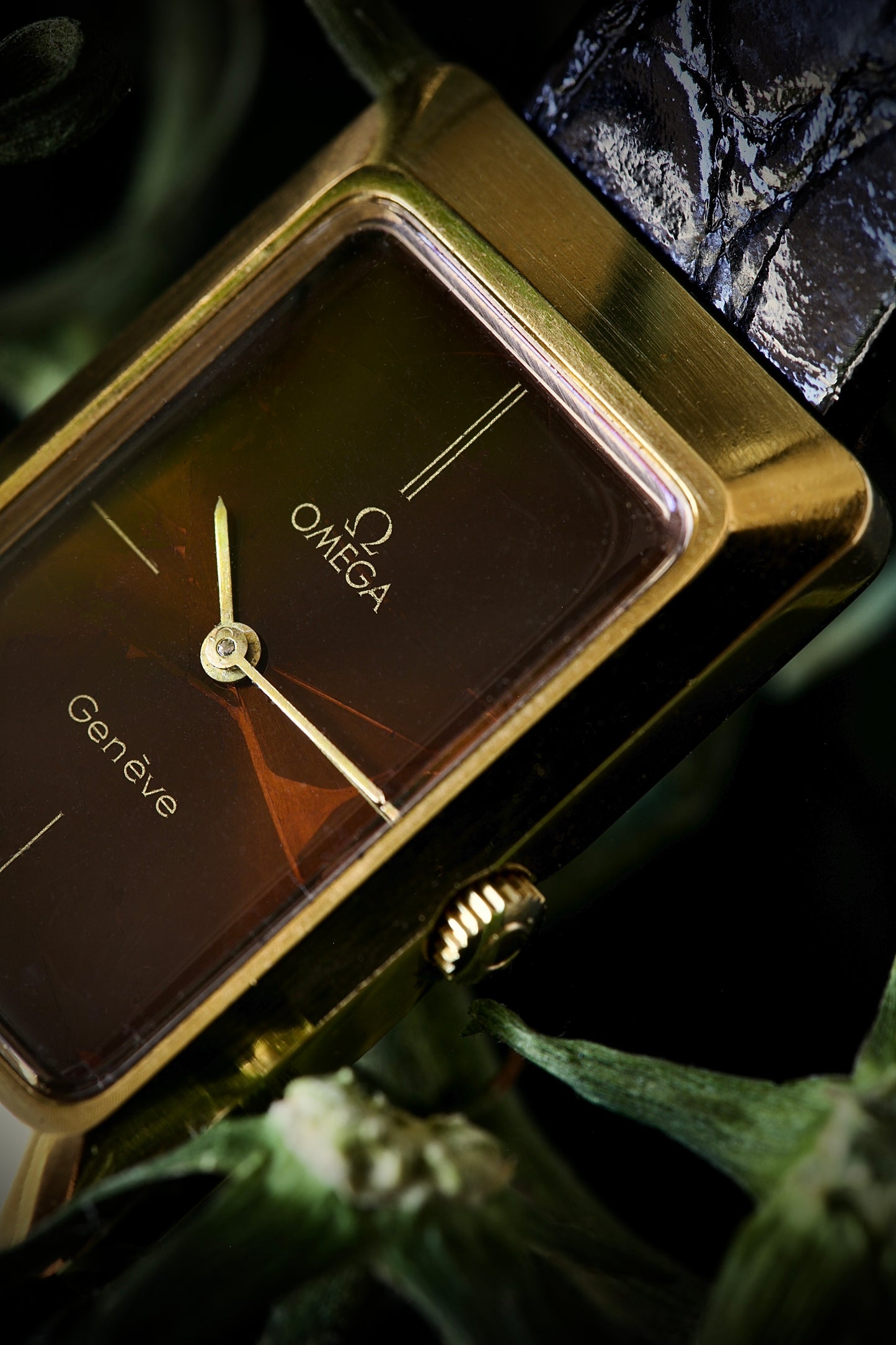 Omega Genève Ref. 511. 0477 Spider Dial from 1974
