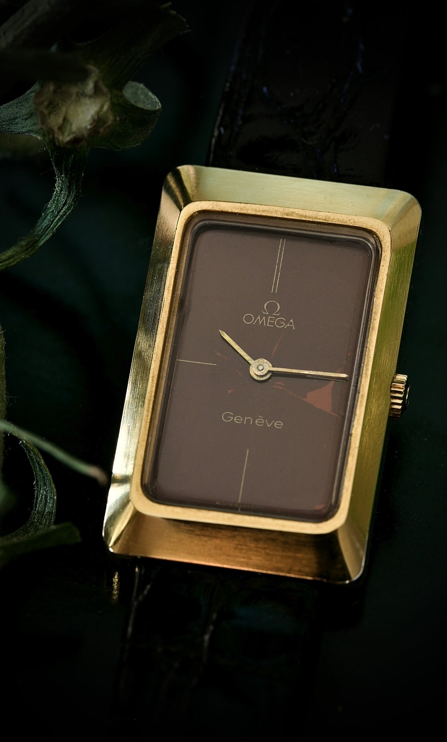 Omega Genève Ref. 511. 0477 Spider Dial from 1974
